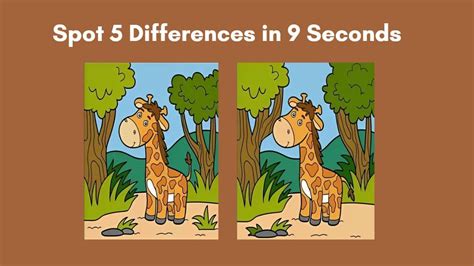What's the difference between 3.